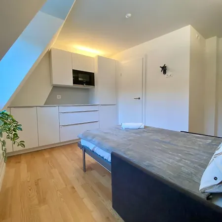 Apartment City Studio Zurich